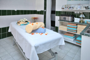 Wellness